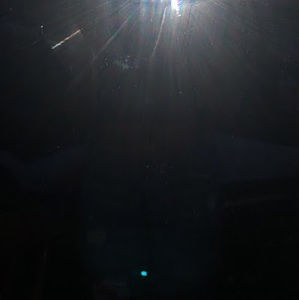 Meet your Posher, Liliana